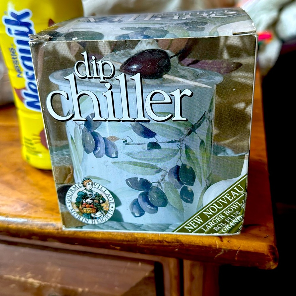 Gourmet Village dip chiller in thee box not sure if used ever